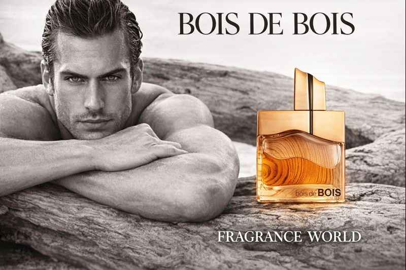 Perfume masculino fresco Bois de Bois Fragrance World