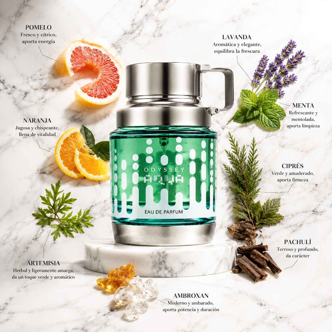 Armaf Odyssey Aqua Edition perfume cítrico aromático para hombre